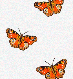 Trio de mariposas