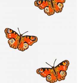 Trio de mariposas vibrantes