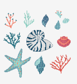 Conchas del mar.