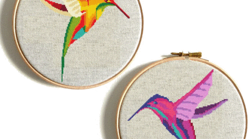 Mágico colibrí